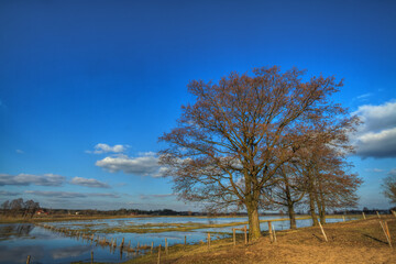 Landscape sunset or sundown river Narew Poland Europe spring time meadows under water