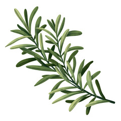 Watercolor leaf branches. Hand drawn watercolor illustration