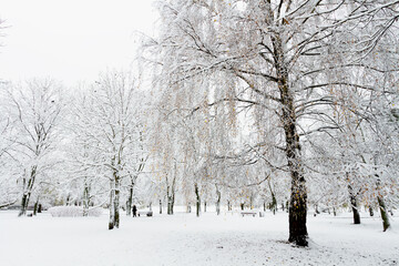 Fototapeta premium Landscape winter attack in city park, fresh snow on the trees with colourful leafs, Beautiful winter scenery 