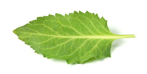 Cressabi leaves