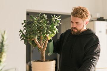 Man watering succulent houseplant by watering can at home - housework and care plant concept