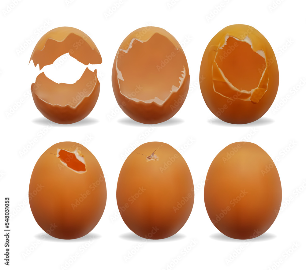 Sticker Realistic Detailed 3d Chicken Egg Broken and Whole Set. Vector illustration of Eggshell Cracking Stages