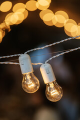 atmospheric warm light bulbs wrapped