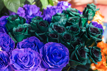 Flowers and Herbs in the streets, colorful roses