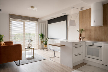 Modern interior with screen
