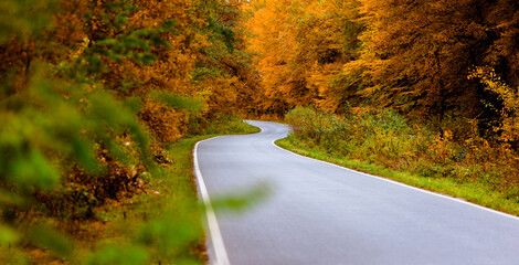 Kręta droga w lesie w jesieni