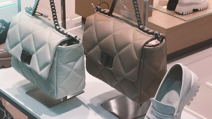 Women's handbags stand in the store  window 
