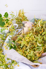 Dried linden tree flowers for herbal tea, organic herbs for preparing tea, herbs and alternative medicine concept