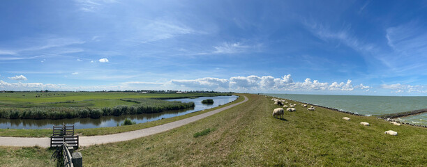 Panorama from sheeps on a sea dyke around Molkwerum