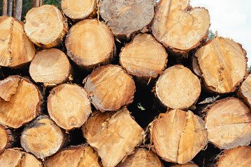 Natural wooden background. closeup of chopped firewood. Pile of wood logs