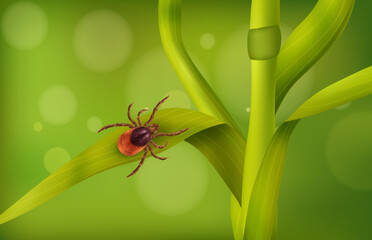 Realistic Spider Mite Grass Composition