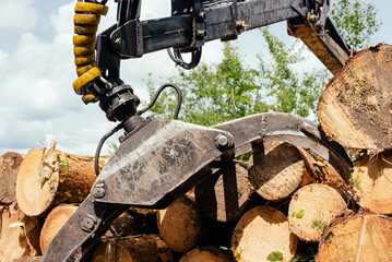 Log loader or forestry machine loads. The logs are folded on the tractor
