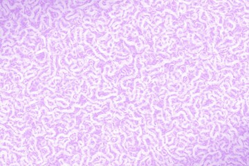 design purple pattern with soft shapes digital art texture or background illustration