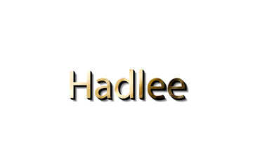 HADLEE 3D NAME