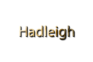 HADLEIGH 3D NAME
