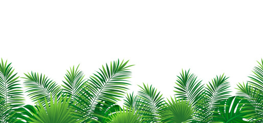 Tropical leaves seamless pattern vector illustration. Rainforest border frame. Jungle plants template banner. Green foliage border repeated wallpaper with tropic palm leaf monstera. Summer background.