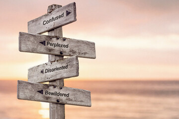 confused perplexed disoriented bewildered text written on wooden signpost outdoors at the beach...