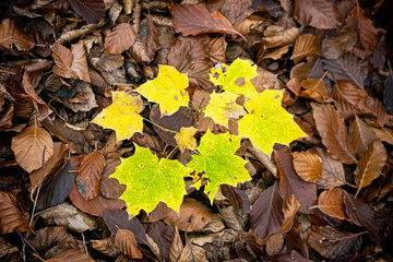 Strazov mountains, Slovakia, seasonal natural scene