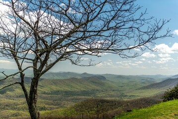 Beautiful shot of bare trees on the countryside of Bluer Ridge Parkway, SC, USA