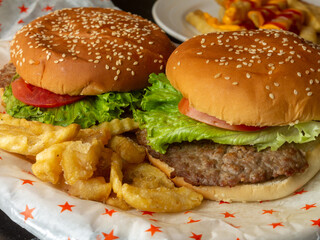 hamburger and fries