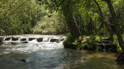 Fototapeta na wymiar In a place of green vegetation a small waterfall
