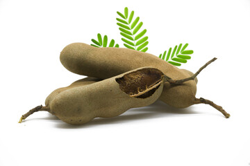Tamarind with leaves isolated on a white background