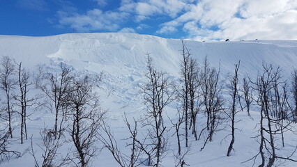 Small avalanche in Swedish Lappland
