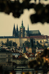 Fototapeta premium city at night