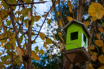 Uriage les Bains, Isère, Rhône-Alpes, France, 20 11 2022 pretty little birdhouse, green house and white windows