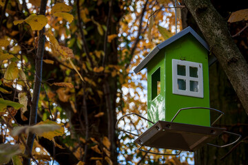 Uriage les Bains, Isère, Rhône-Alpes, France, 20 11 2022 pretty little birdhouse, green house and white windows