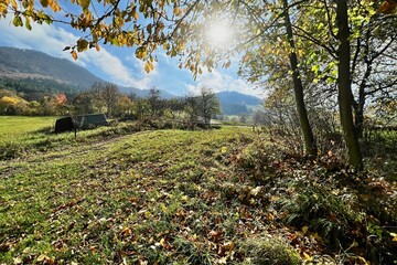 autumn landscape with sunlight 