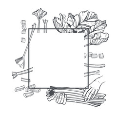 Hand-drawn rhubarb. Vector frame.