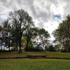 Photo d'arbres dans un parc en automne 