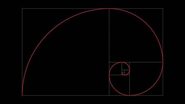 Golden ratio fibonacci Sequence animated with lines grid and shapes on black background. Flat animation