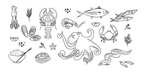 Set with seafood on white background. Hand drawn sea fishes, oysters, mussels, lobster, squid and octopus, crabs, prawns. Healthy food natural set. Vector illustration