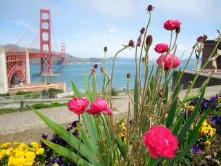 Photo sur Plexiglas Pont du Golden Gate Closeup of colorful bloomed flowers with the Golden Gate bridge in the background