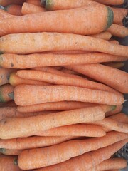 Carrot (Daucus carota L) is a biennial plant, family Aplaceae. Carrots are very beneficial for eye health. Contains vitamins A, B1, B2, B3, B6, B9, C, calcium, iron, phosphorus, potassium, magnesium.