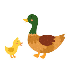 Mother duck with her baby duckling. Cute farm animal characters - mom and her child. Mother Day print for kids. Vector illustration