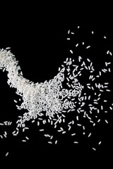 Raw white rice splash on black background. Uncooked rice explosion.