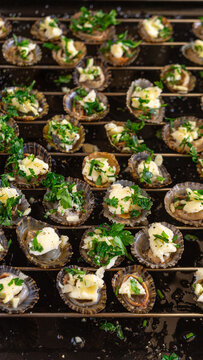 Edible sea water molluscs Patella - Limpets staffed with garlic parsley butter