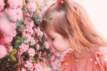 Fototapeta premium Little girl wear casual dress walking in park, smelling pink blooming flowers.