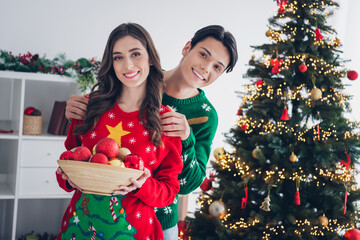 Portrait of two peaceful cheerful people cuddle hold evergreen newyear toys bowl create magic spirit indoors