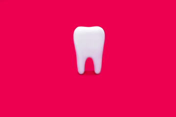 A molar on a pink background in the center of the image. Medical concept of dental health and proper care of molars. Inspection of the root of the tooth. Perfect molar on a pink background