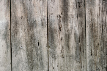 Naklejka premium Background in the form of old wooden boards. Dilapidated rotten boards in the form of a wall or fence. Free space for text. Background of dry wood in the form of boards nailed to each other