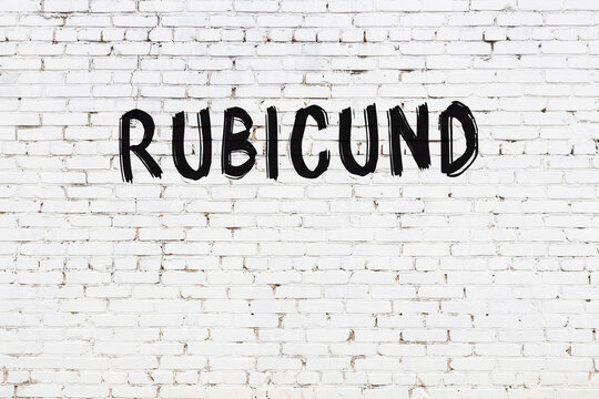 รูปภาพRubicund – เลือกดูภาพถ่ายสต็อก เวกเตอร์ และวิดีโอ257,730 | Adobe ...