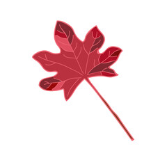 Autumn maple leaf painted in different shades of red. Isolated vector image.
