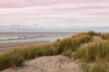 Fototapeta na wymiar Dunes and beach on the North Sea on the Dutch island of Texel.