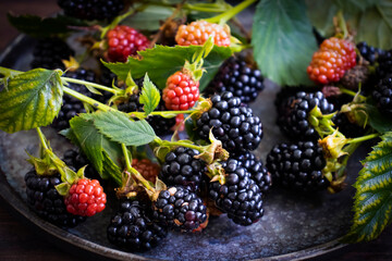 Fresh blackberries on old background