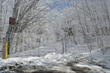 Boone In Snow