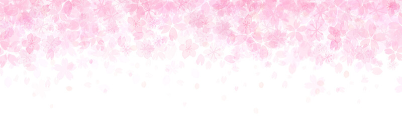 Fototapeta premium 桜が舞い散る背景イラスト